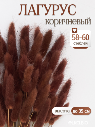 Лагурус коричневый 60 шт. Высший сорт. Высота 25-35 см М230