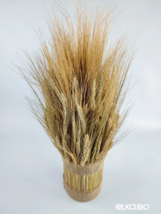 Настольная композиция из пшеницы Б60-B103